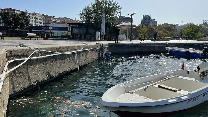 Bandırma'nın meşhur rüzgarı poyraz, yerini lodosa bırakınca limanı çöp bastı