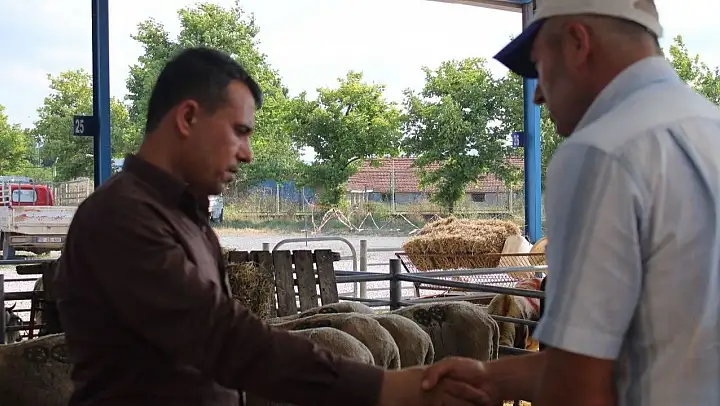 Bandırma ve Gönen'de kurban pazarı kuruldu