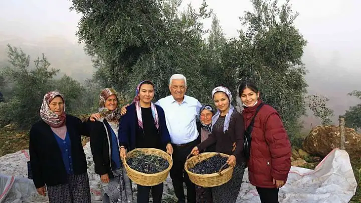 Başkan Gürün: 'Zeytinlik alanlarımızı koruyacağız'