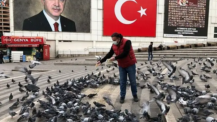 Başkan, kısıtlamada sokakta aç kalan hayvanları besledi