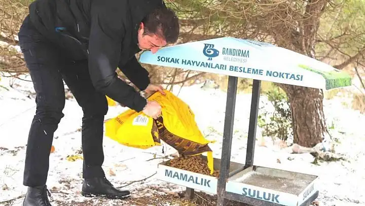 Başkan Tosun'dan can dostlara şefkat eli