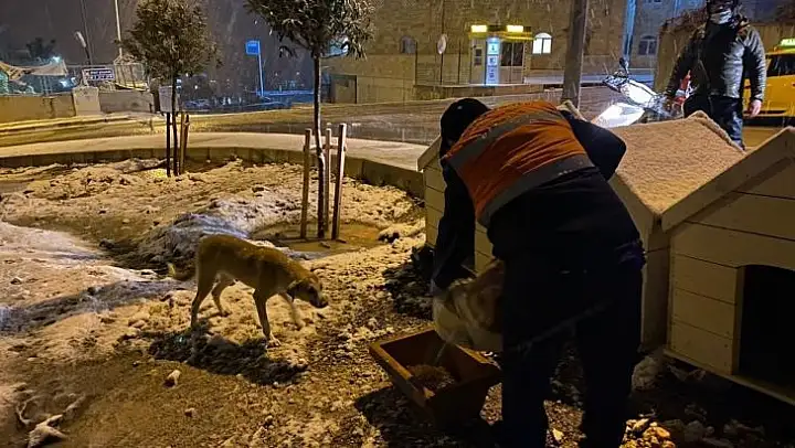 Buca Belediyesi, soğuk havalarda minik dostlarını unutmadı