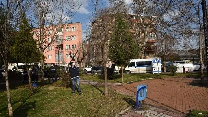 Budanan ağaçlar ihtiyaç sahiplerine odun oluyor