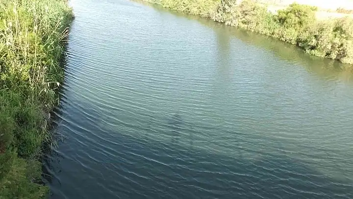 Burhaniye' de dere ve deniz kirliliğine dikkat çekildi