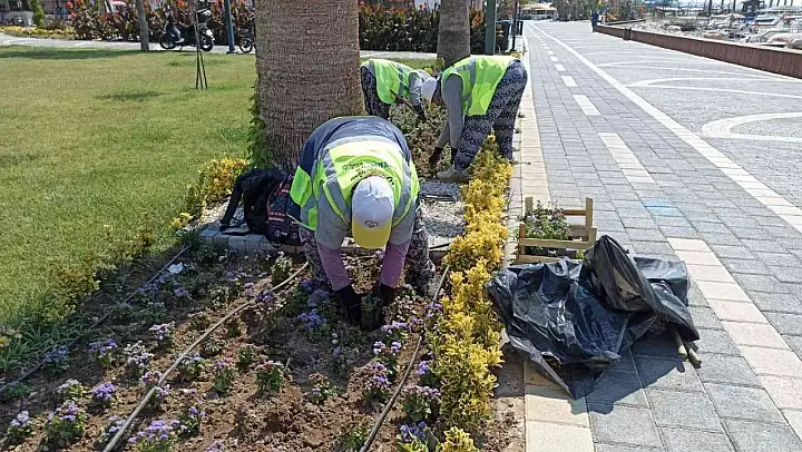 Burhaniye'de 60 bin çiçek dikildi
