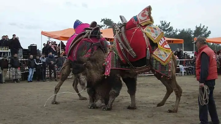 Burhaniye'de festival hazırlıkları tamamlandı
