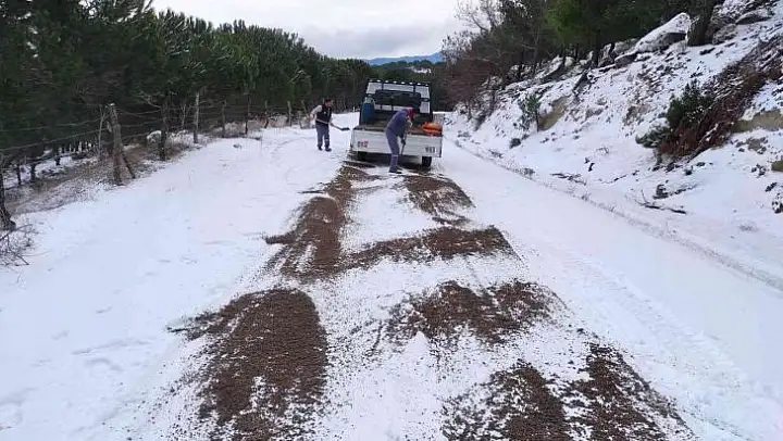 Burhaniye'de kırsal yollar tuzlanıyor