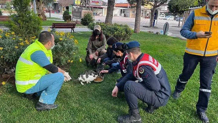 Burhaniye'de sokak hayvanları yalnız değil