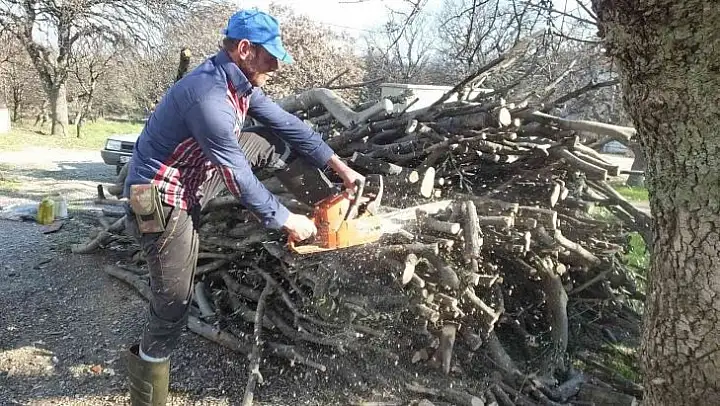 Burhaniye'de zeytin odununa talep arttı