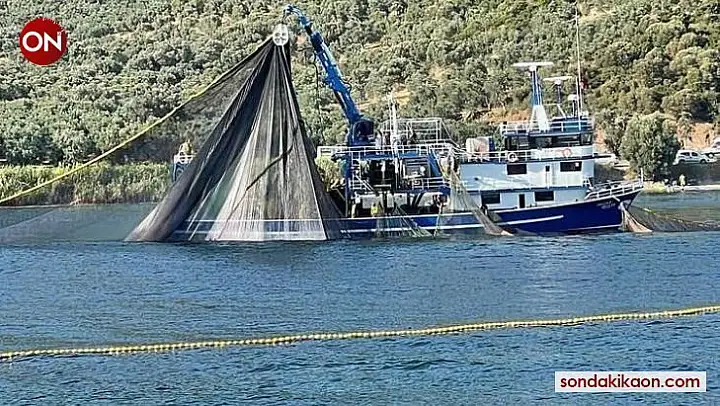 Bursa'da denize deneme ağları atıldı