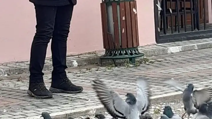 Bursa'da sokak hayvanlarına polisten şefkat eli