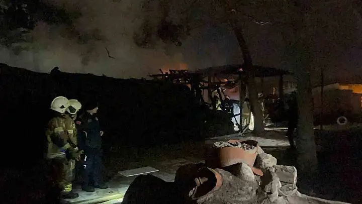 Bursa'da tarihi Kestel Kalesi alevlere teslim oldu