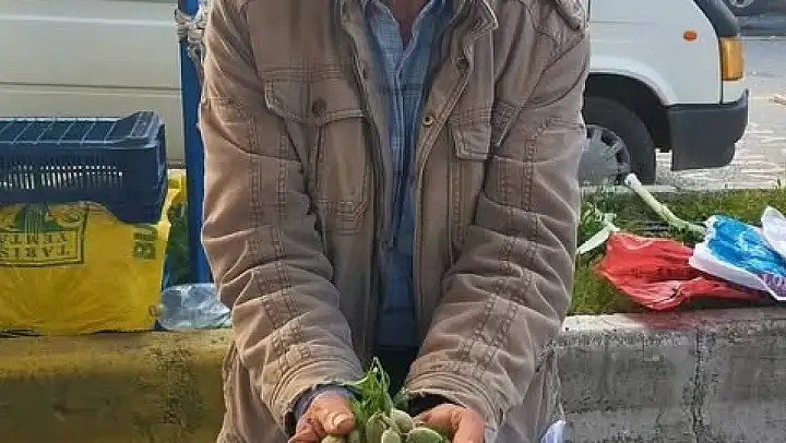 Çağla, Aydın'daki tezgahlarda yerini aldı: Kilosu 250 lira
