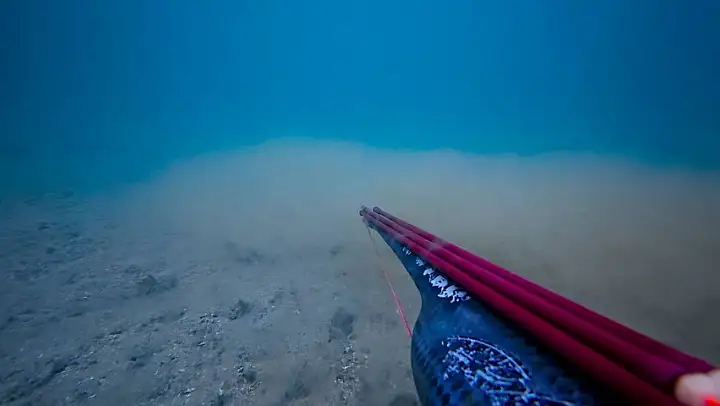 Çanakkale Boğazı'nda müsilajın deniz dibindeki yoğunluğu arttı