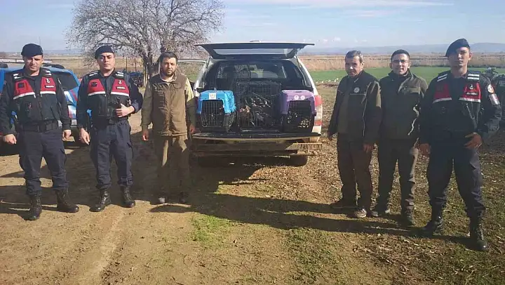 Çanakkale'de kaçak av operasyonuna 70 bin TL ceza