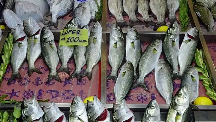 Çanakkale'de lüfer bollaştı, fiyatı 100 liraya düştü