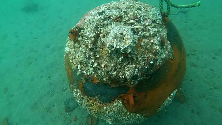 Çanakkale Savaşları'ndan kalma mayın denizde imha edildi