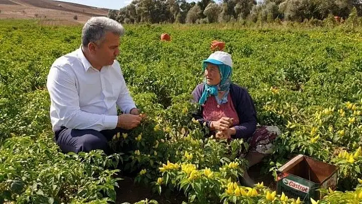 Canbey'den afetzede çiftçilere güzel haber