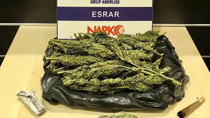 Çeşme'de ormanlık alanda çadır kurup uyuşturucu satanlar yakalandı
