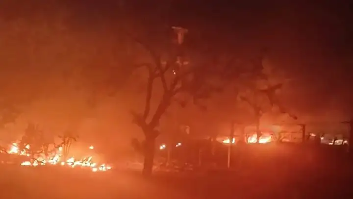 Çiftçiler sabaha kadar ürünlerini korudu