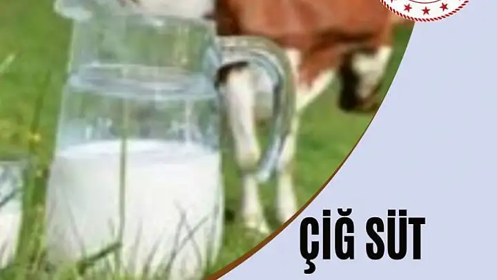 Çiğ süt destek ödemeleri başladı