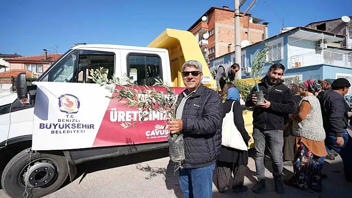 Denizli Büyükşehirden zeytin fidanı seferberliği