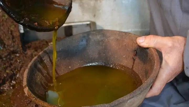 Doğanın iksiri zeytin sütü