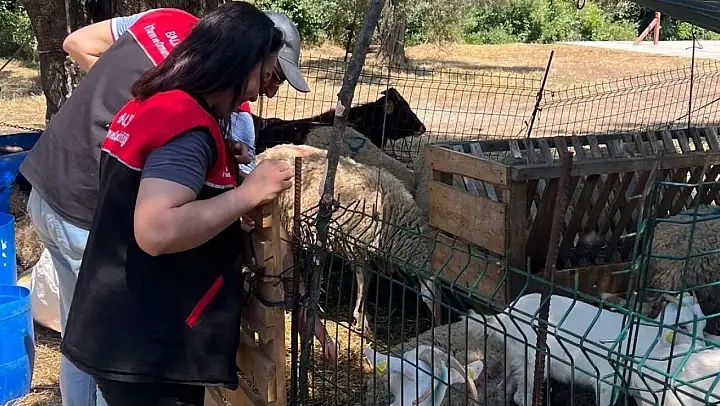 Edremit İlçe Tarım Müdürlüğü'nde 'Kurban Bayramı' alarmı