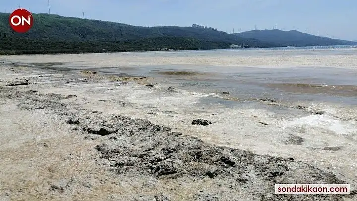 Erdek körfezinde deniz salyası kabusu