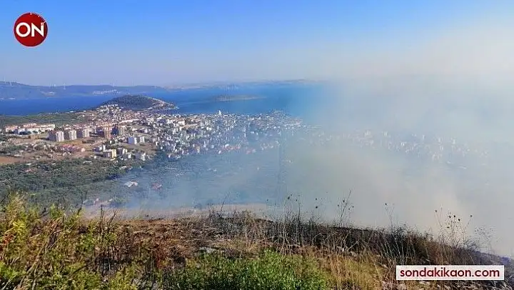 Erdek'te 5 hektar makilik alan yandı