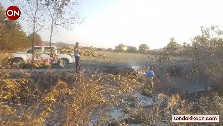 Erdek'te çıkan yangın korkuttu