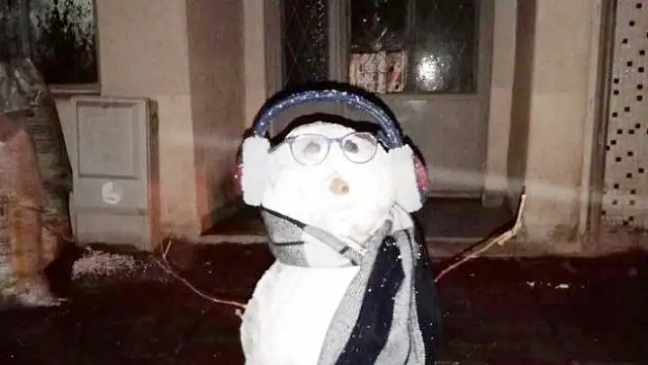 Erdek'te ilginç hırsızlık kardan adamı çaldılar