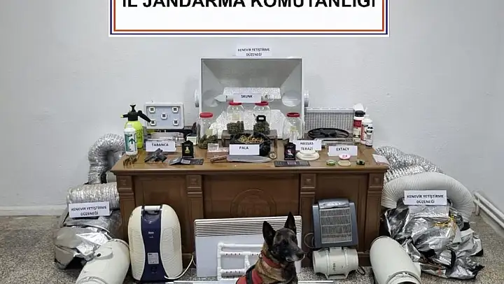 Evini uyuşturucu tarlasına çevirmiş