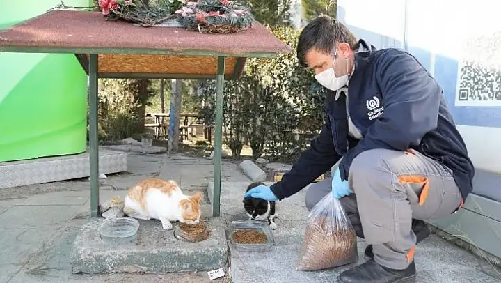 Gaziemir'de sokağa çıkma kısıtlamalarında can dostlar unutulmuyor