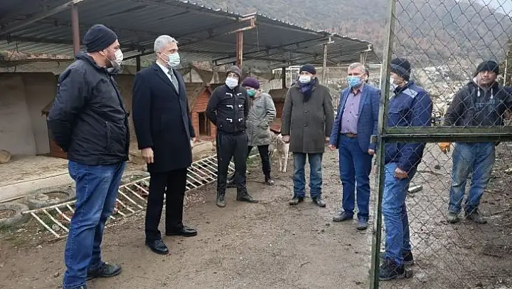 Geçici hayvan barınağına yeni ünite çalışması