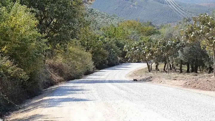 Gemlik'te mesire alanına ulaşmak artık daha kolay
