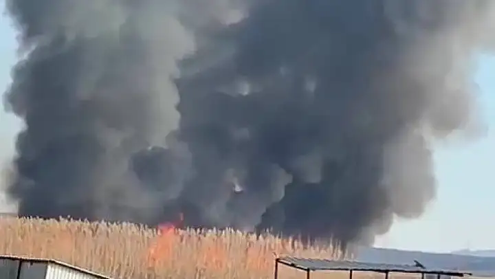 Gökgöl'deki sazlıklar ateşe verildi