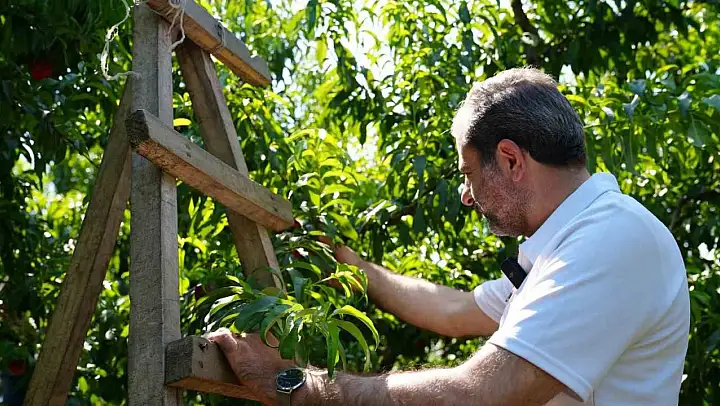 Gürsu'da ilçe tarımını dönüştürecek yeni proje