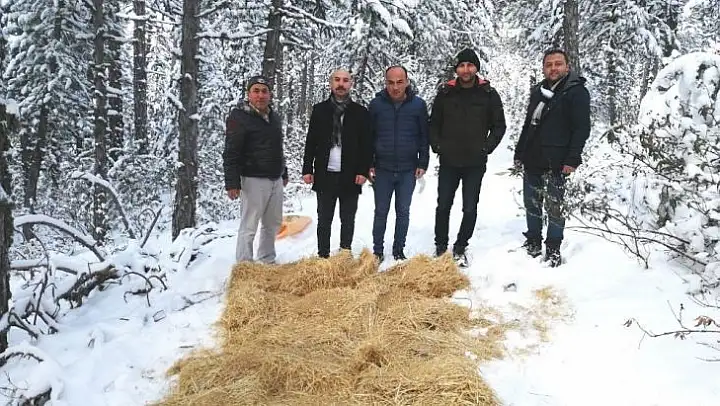 Hisarcık'ta yaban hayvanları unutulmadı