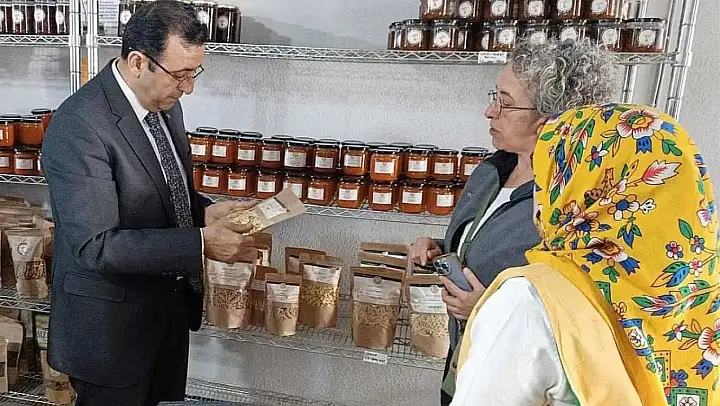 İl Tarım ve Orman Müdürü Ergün Demirhan, Ayvacık'ta incelemelerde bulundu