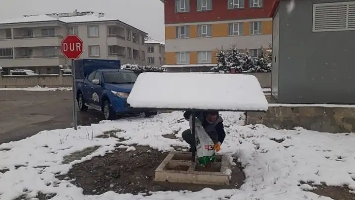 İnegöl Belediyesinden sokak hayvanlarına şefkat eli