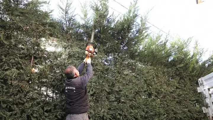 İnegöl'de budama çalışmaları