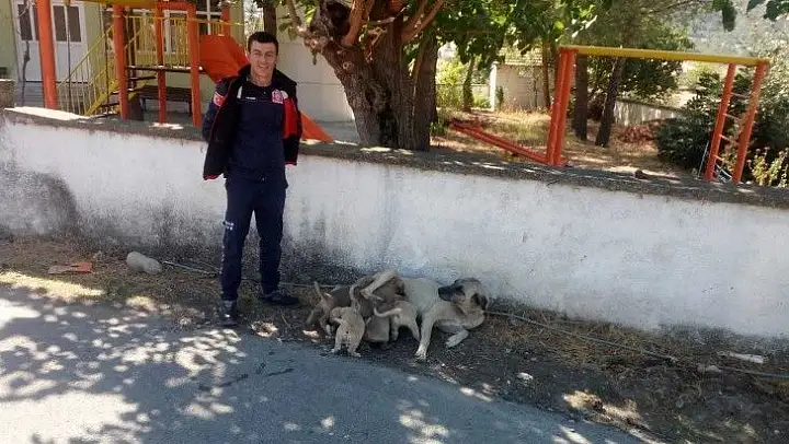 İtfaiyeden yavru köpek kurtarma operasyonu