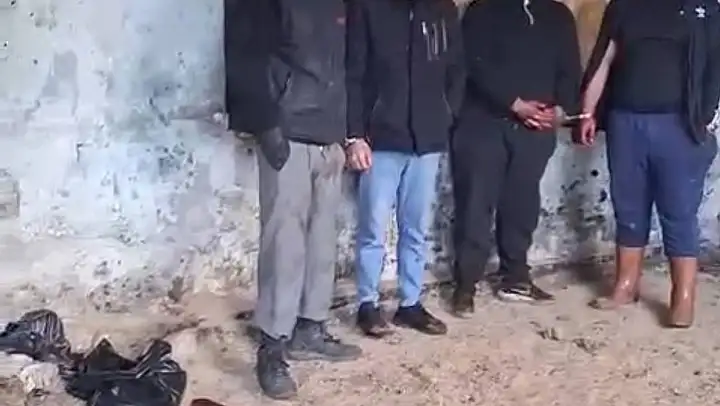 İzmir'de at eti keserken suçüstü yakalandılar