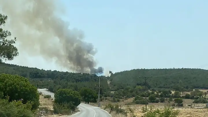 İzmir'de bir orman yangını daha başladı