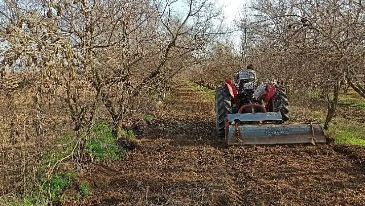İzmir'de kısıtlamaya rağmen tarlalarda üretim devam etti