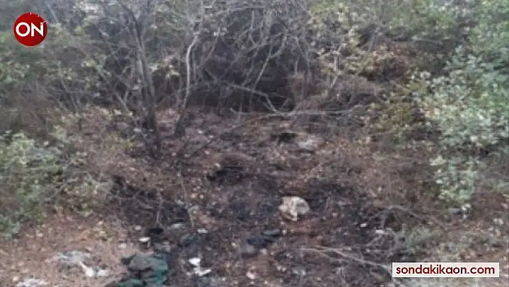 İzmir'de orman yangını çıkarmak isteyen şüpheli, PKK/KCK üyesi çıktı