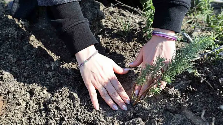 İzmir Ekonomi'den kadın çalışanlarına 'hatıra ormanı'