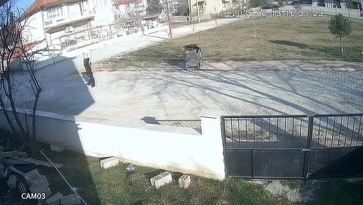Kadının iple ayaklarını bağladığı köpeği çöpe attığı anlar güvenlik kamerasına yansıdı