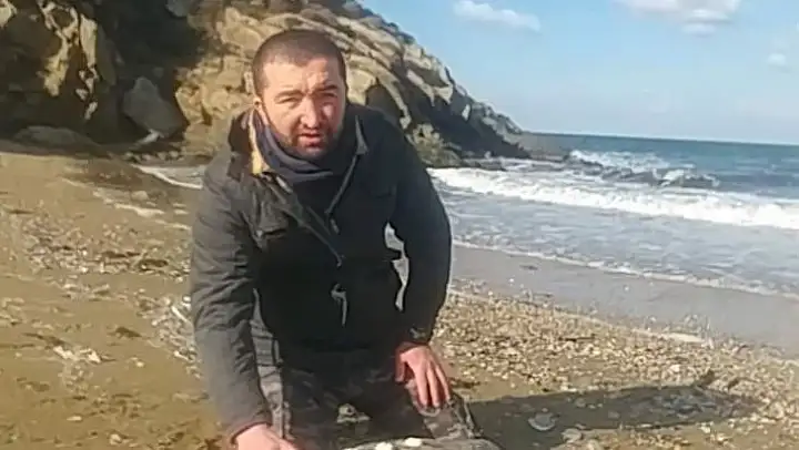 Kapıdağ sahillerinde ölü Caretta Caretta bulundu
